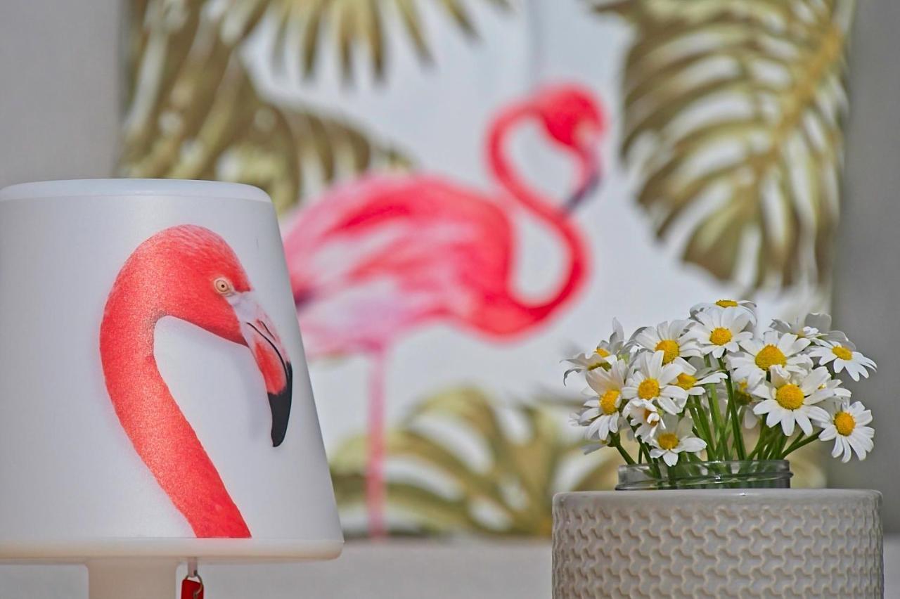 Villa Flamingo Kaštelir Екстериор снимка